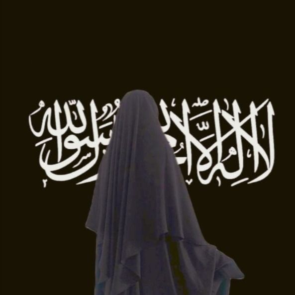 ﷽