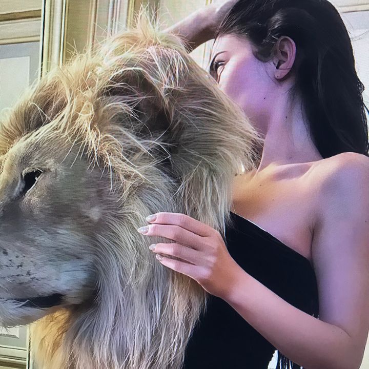 fdphh9