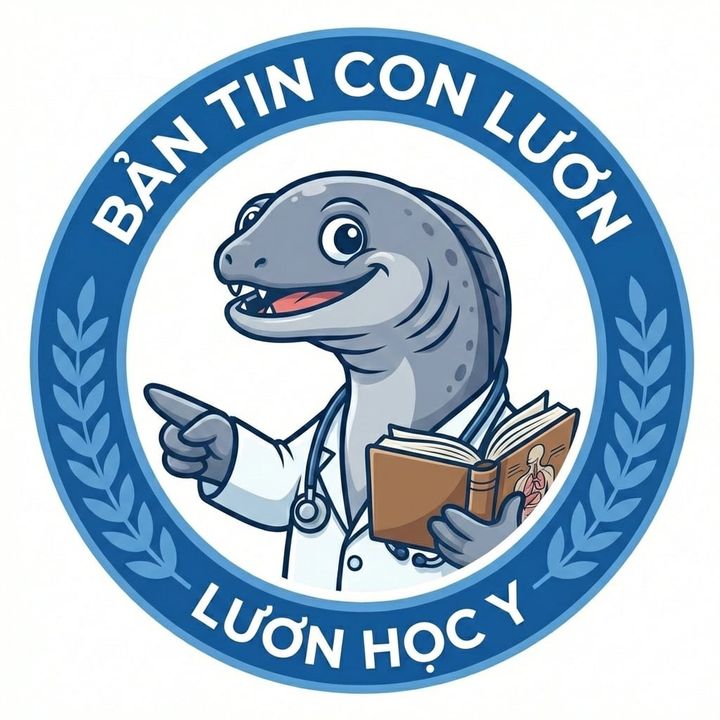 Con Lươn Học Y