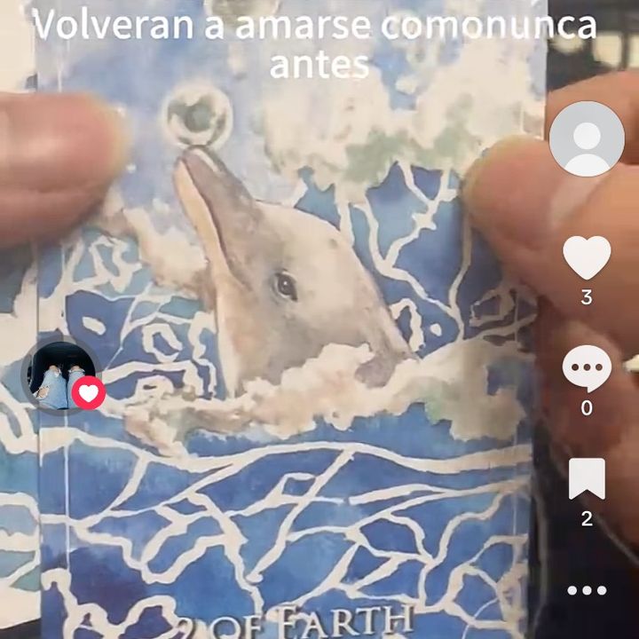 lpqgqp0
