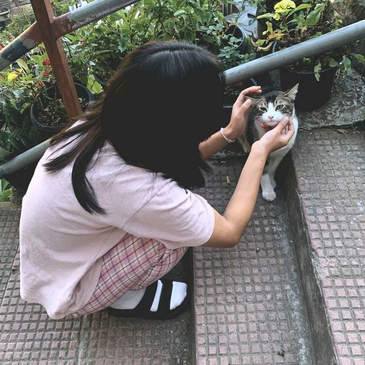 samie.recos