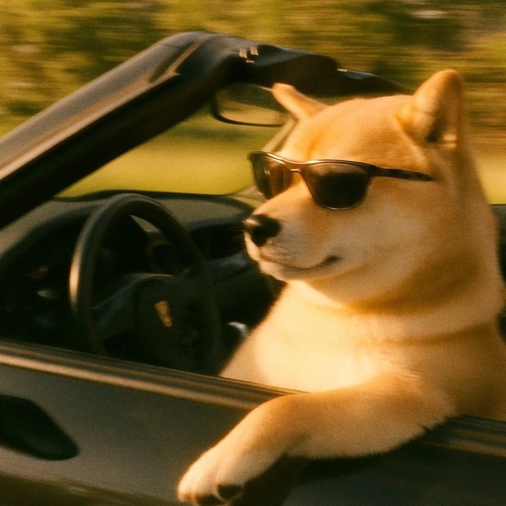 ndapl3
