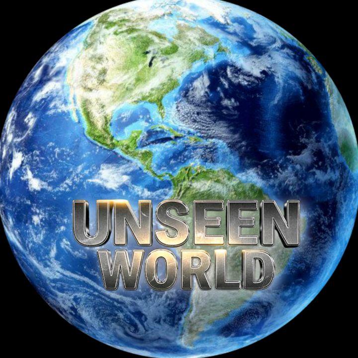 Unseen World 🌎