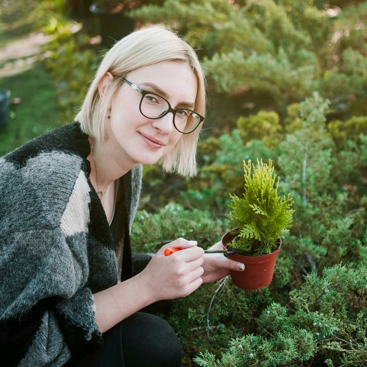 daily_sprout