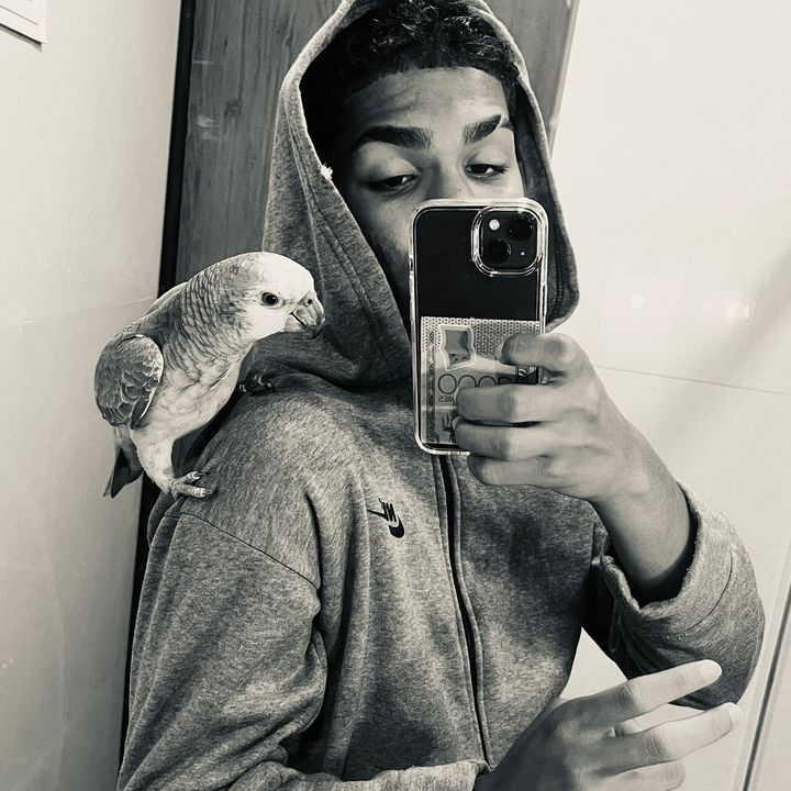 rlk_bonitin