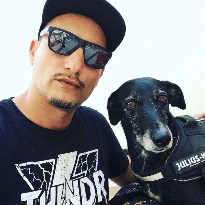 Das Hundesofa