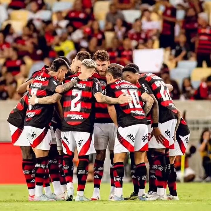 Mengão na veia