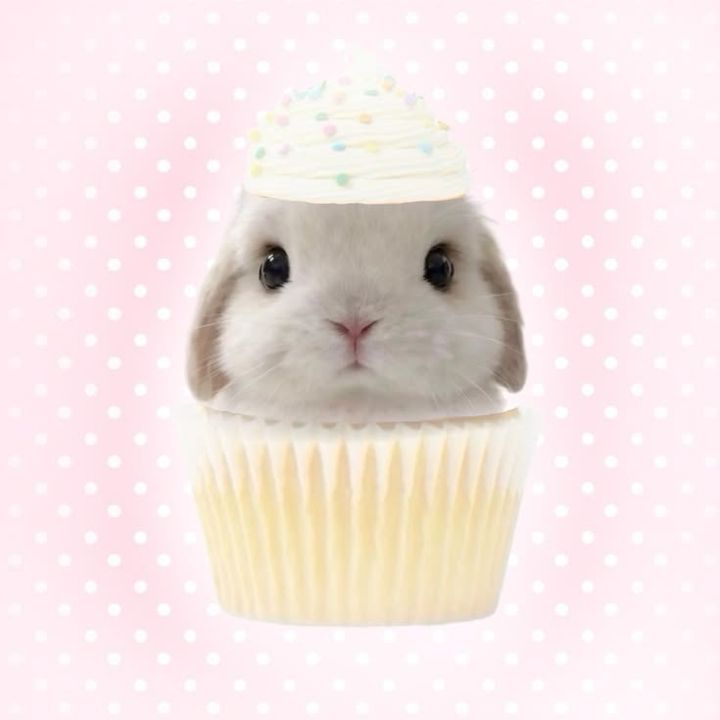 🌚
