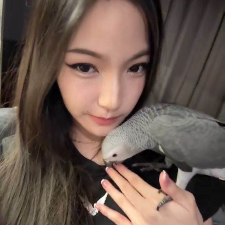 วกุล23
