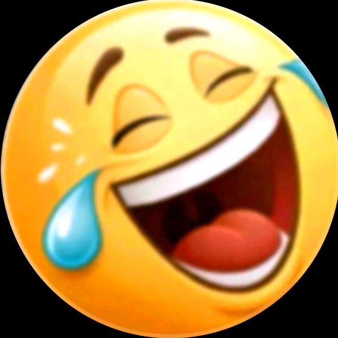 funny videos
