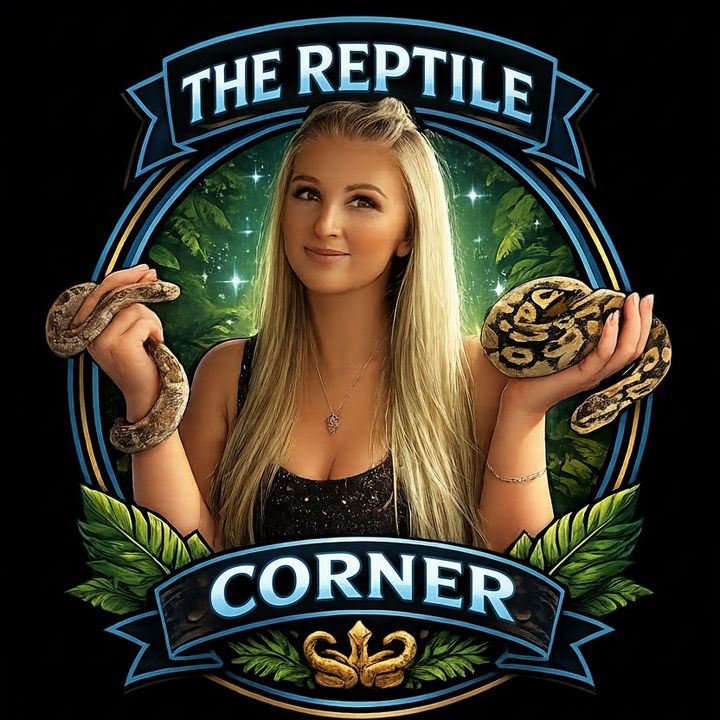 The Reptile Corner