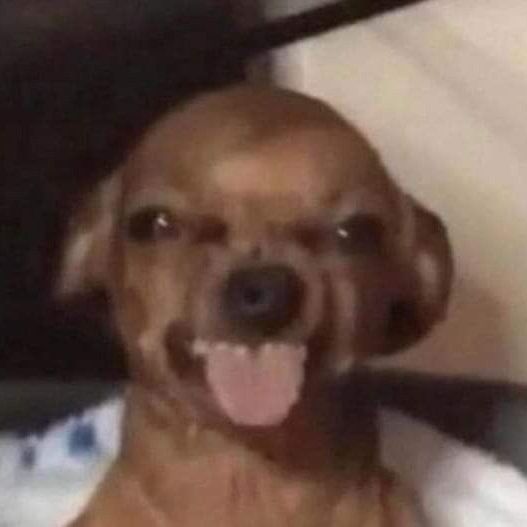 cabriterodeals