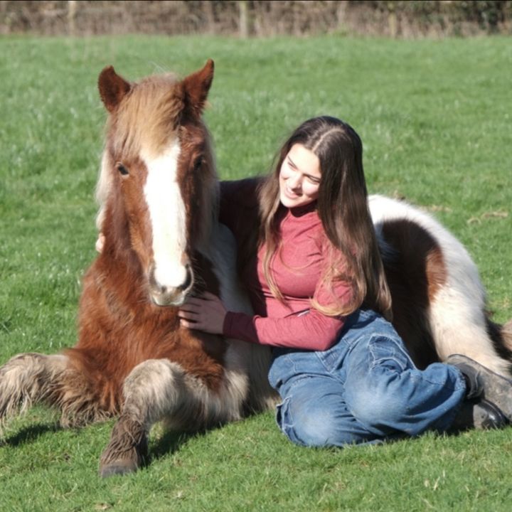 Crazy Equestrian