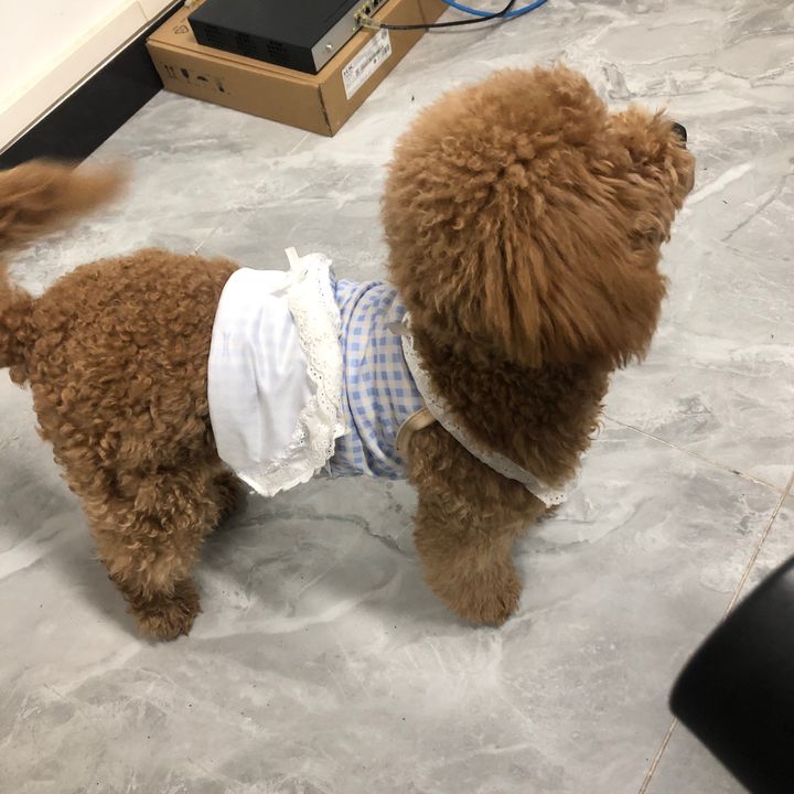 tintinwowo