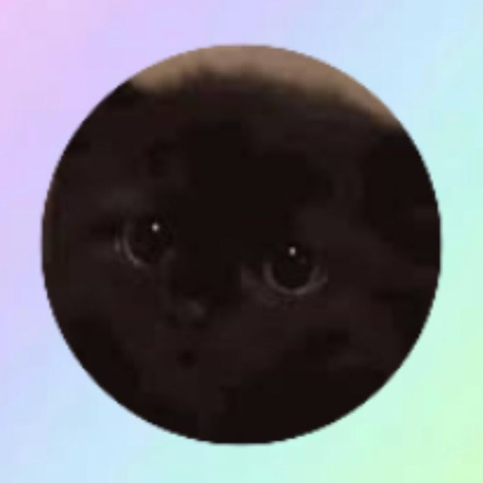 BlackCatDeals