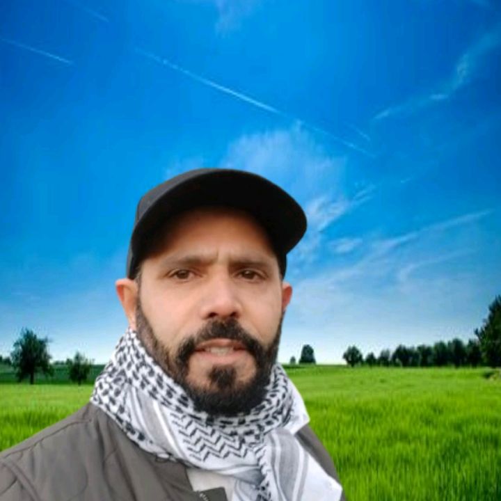 Arif Kashmiri Uk