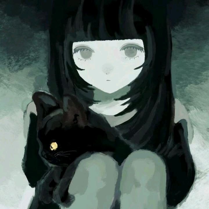 sophi ╋━