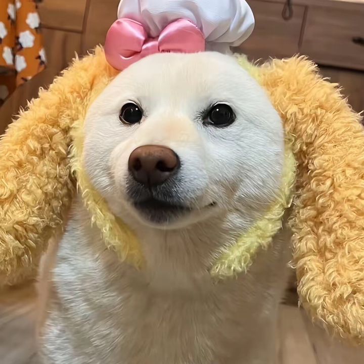 Emmafinds