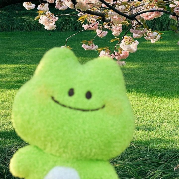 muogvgvr0ll