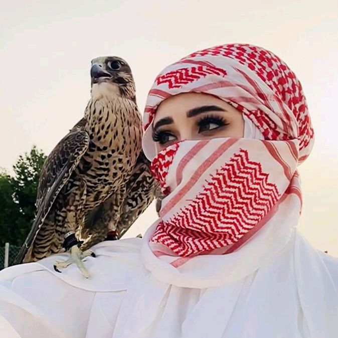 Om_Ali0909