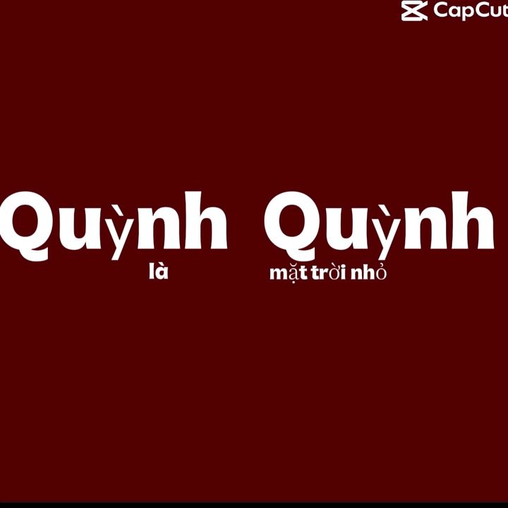Qyn🐬