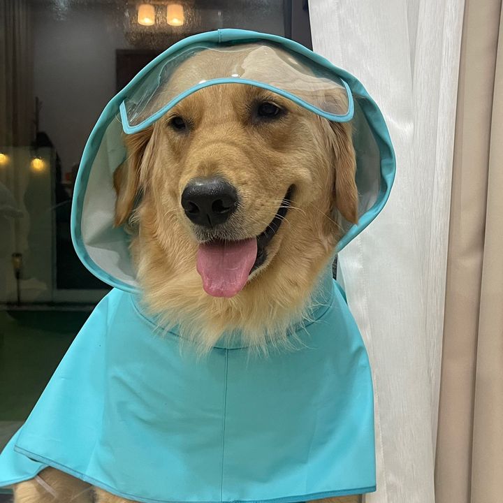แม่บ้านสายคุ้ม