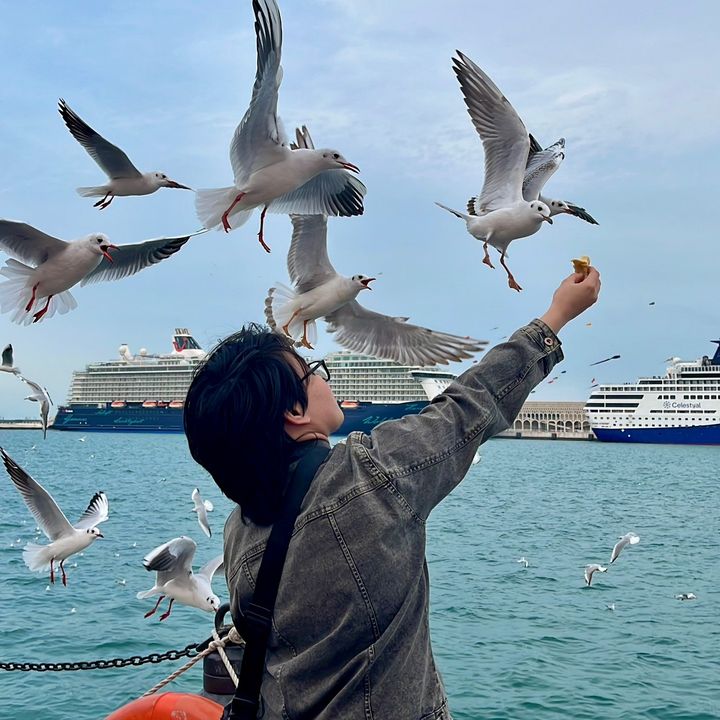 Yohan darwish ll