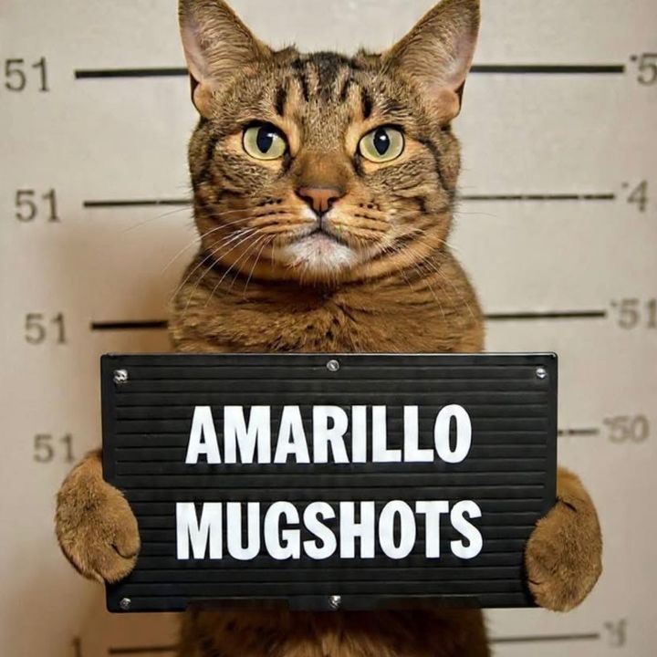 Amarillo Mugshots