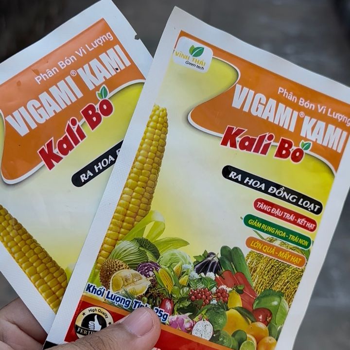 Hiệp Mê Review