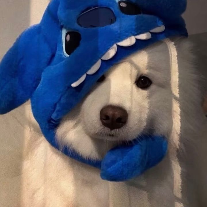 dddddkitf