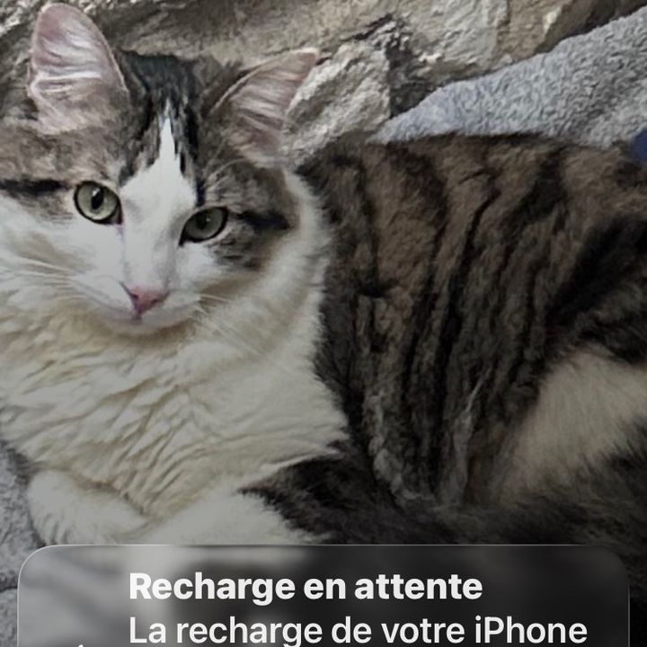 James officiel