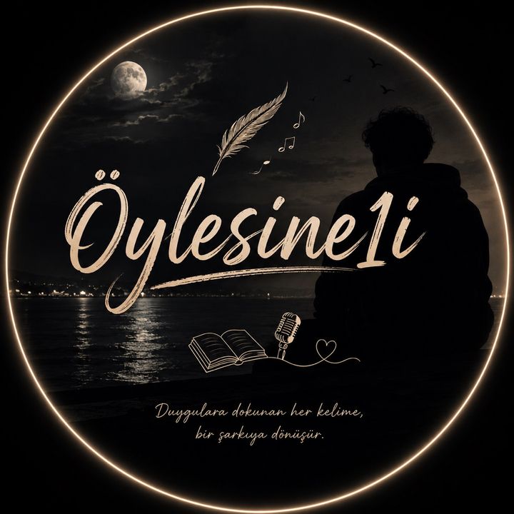 Öylesine1i