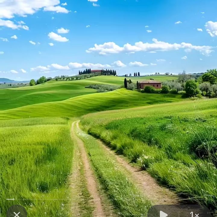 草1