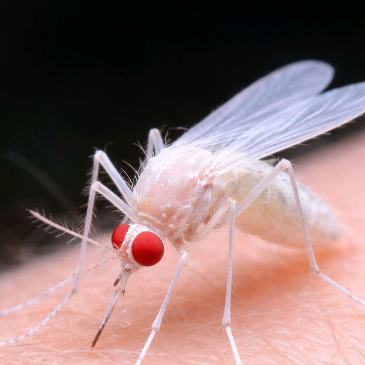 NATUREZA2026