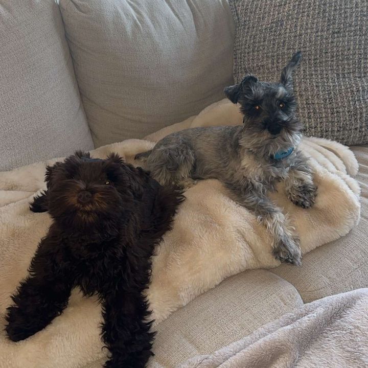 Buddy & Millie