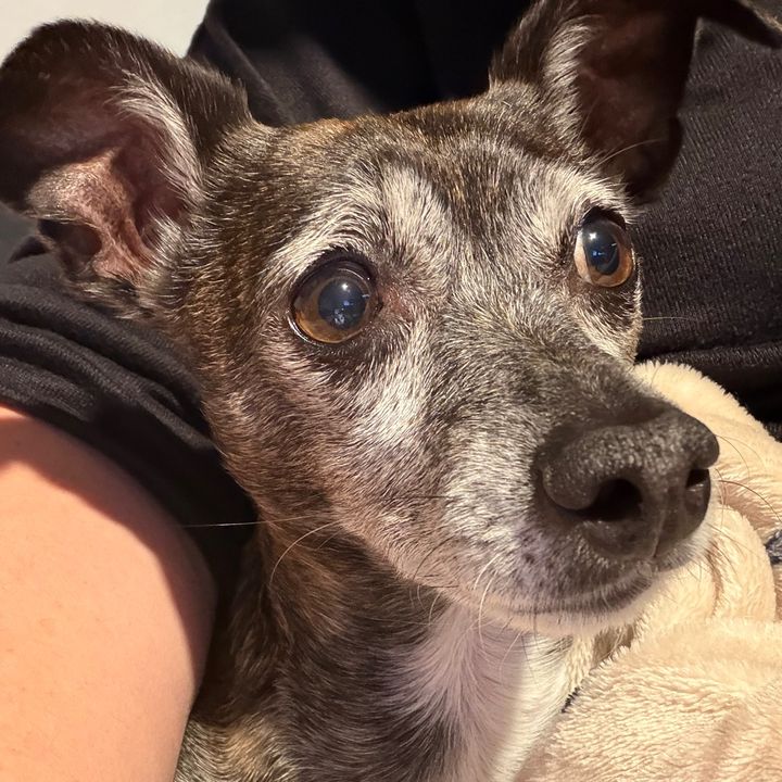 Lilbit