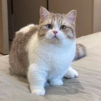 nlgez7
