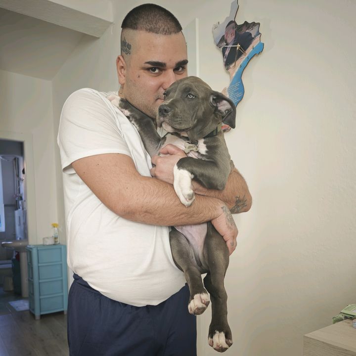 Jack&JoKeR Blue Nose