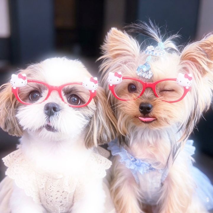 Coco and Yukiki