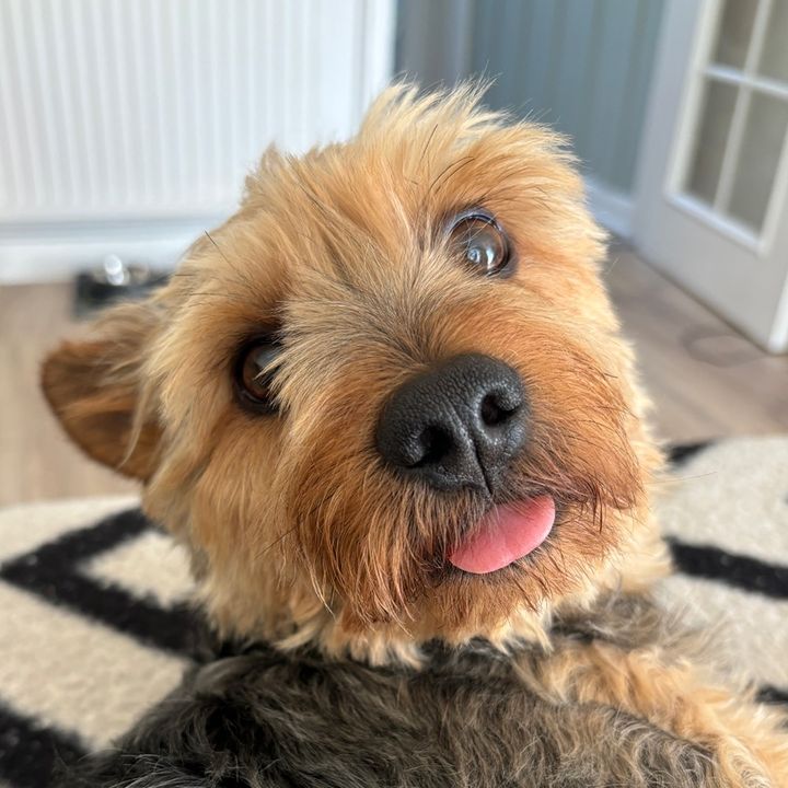fredcan’tbark