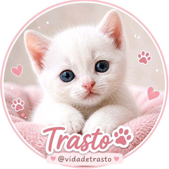 vidadetrasto