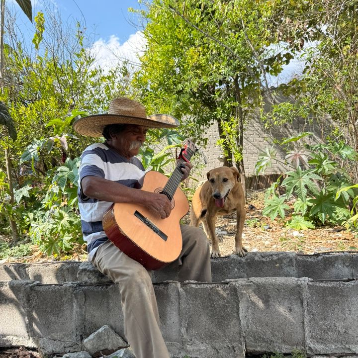 Guangui😃