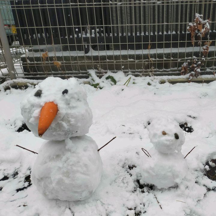 キュウイ