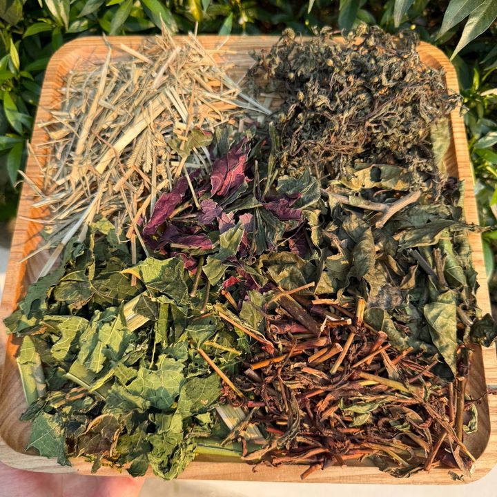 Sống Khoẻ Mỗi Ngày