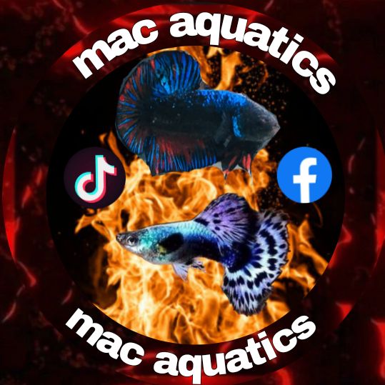 mac aquaticss