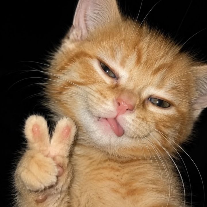 Felix