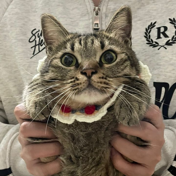 Kiki