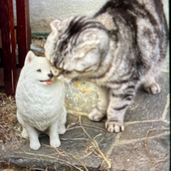 MOUじろ