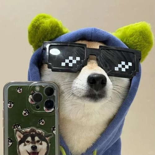 dzzziiop1