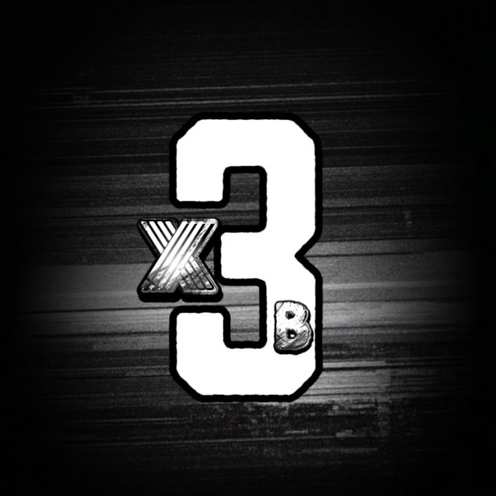 x3.bul